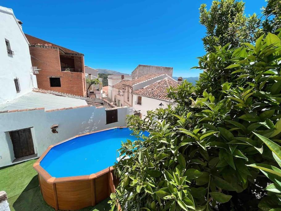 La Palmera. Casa Rural Con Piscina Privada. Benadalid المظهر الخارجي الصورة