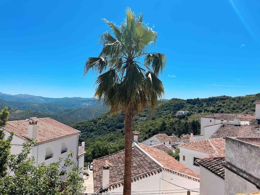 La Palmera. Casa Rural Con Piscina Privada. Benadalid المظهر الخارجي الصورة