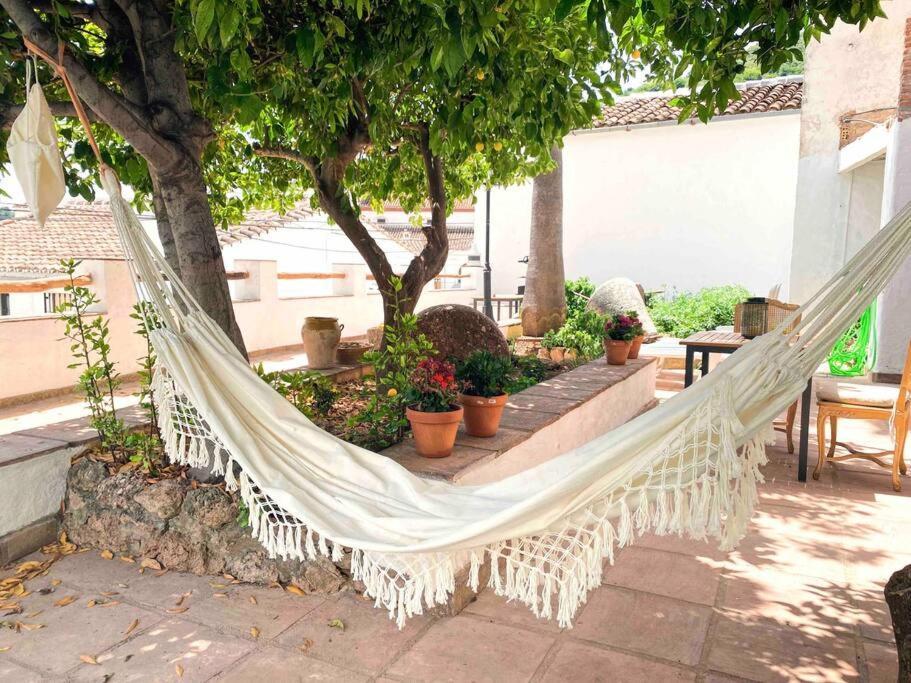 La Palmera. Casa Rural Con Piscina Privada. Benadalid المظهر الخارجي الصورة