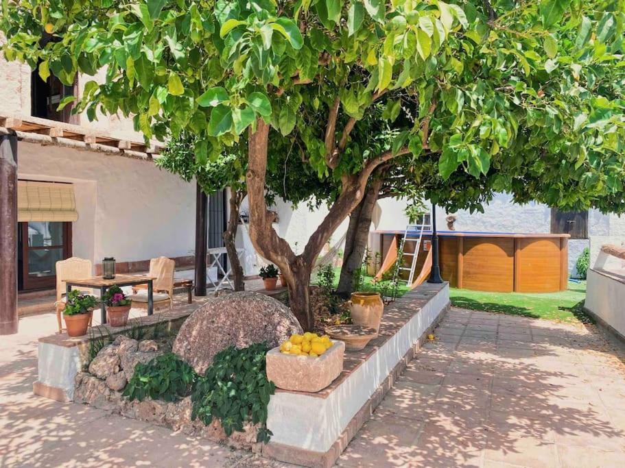 La Palmera. Casa Rural Con Piscina Privada. Benadalid المظهر الخارجي الصورة